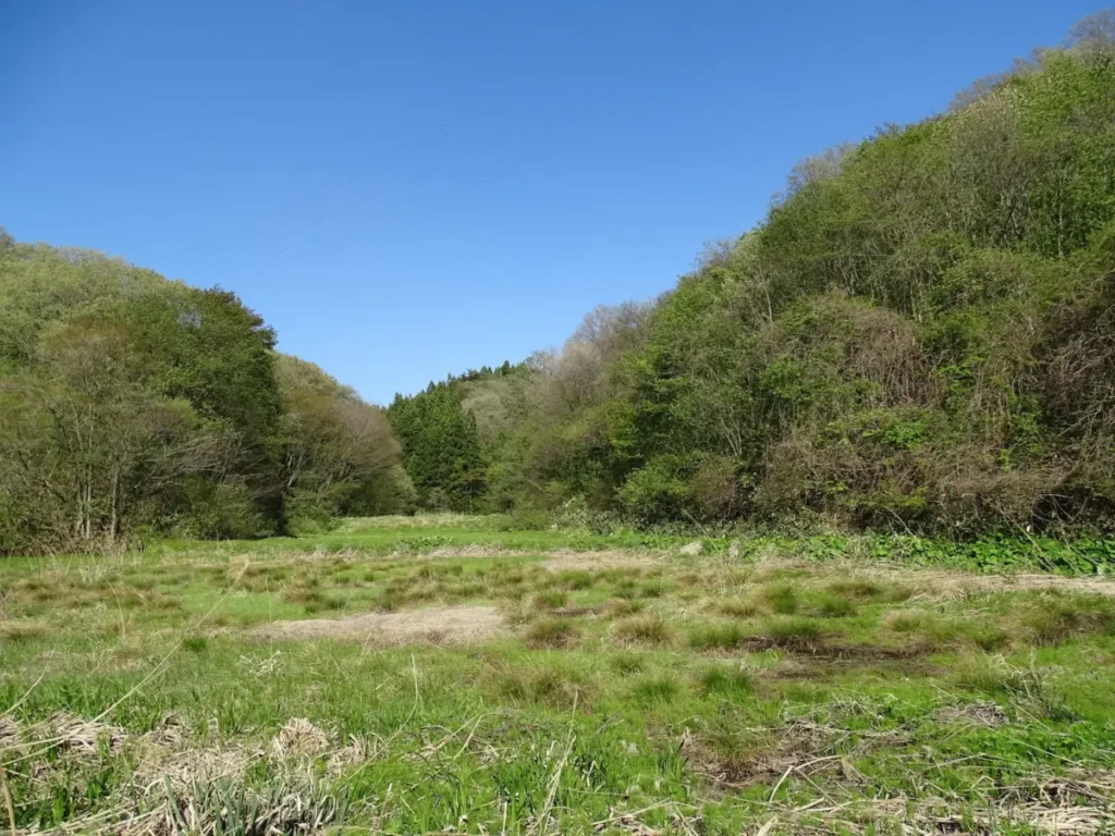東濃地域の耕作放棄地と山林の風景:農地・山林相続には別途届出が必要