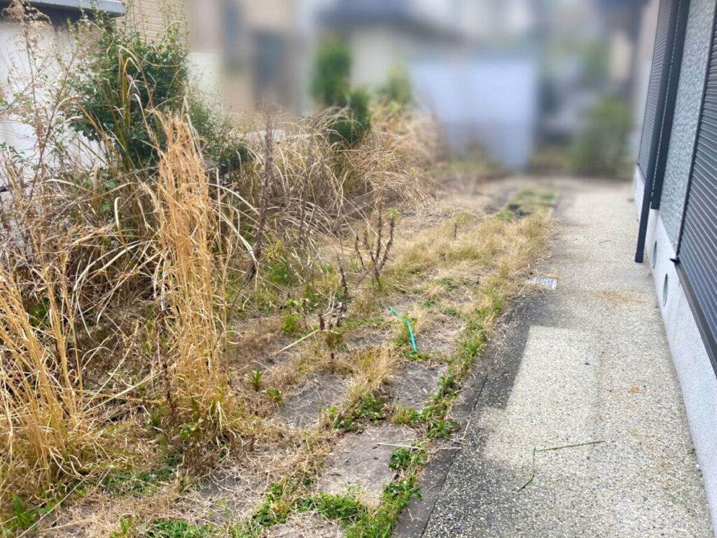 雑草が生い茂り荒れた状態の裏庭の施工前写真