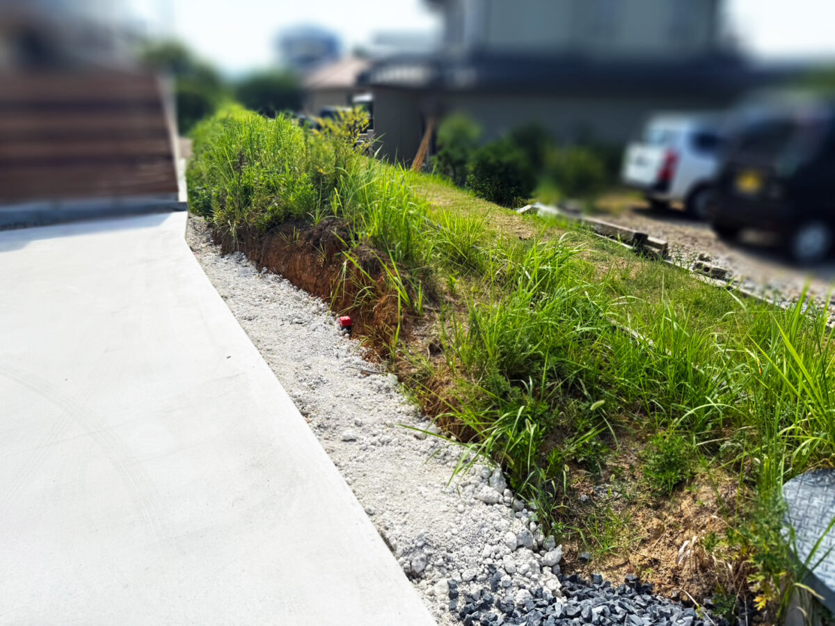 雑草が繁茂した境界部分の整地前の状態