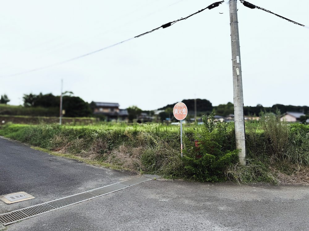 造成工事前の土地・雑草が生い茂る更地の状態