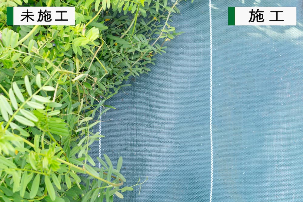 防草シート施工前後の比較。未施工部分は雑草が生い茂り、施工部分は雑草ゼロ