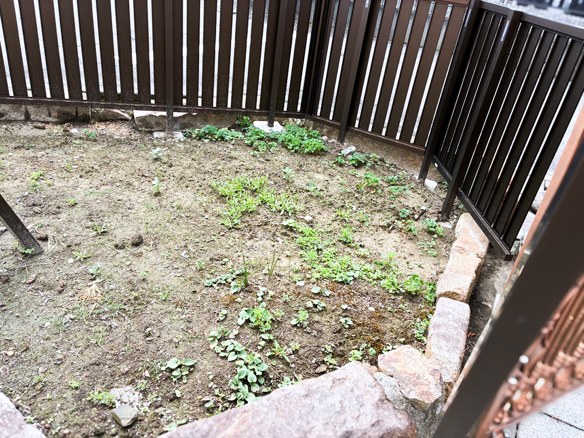 施工前・雑草が生い茂るフェンス内側