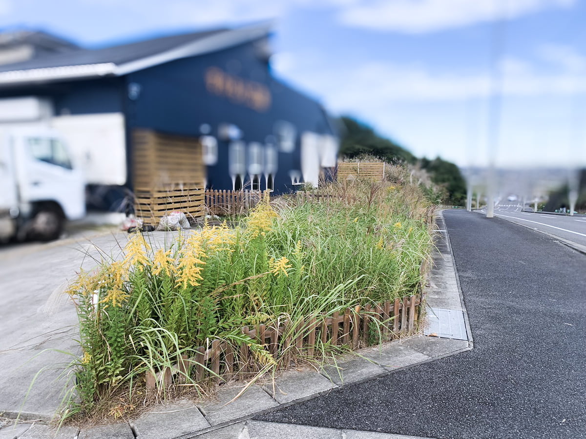 施工前・雑草が生い茂る木製フェンス沿いの敷地