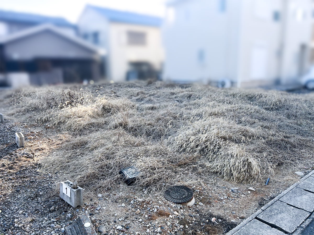 施工前・枯れ草が生い茂る放置された空き地