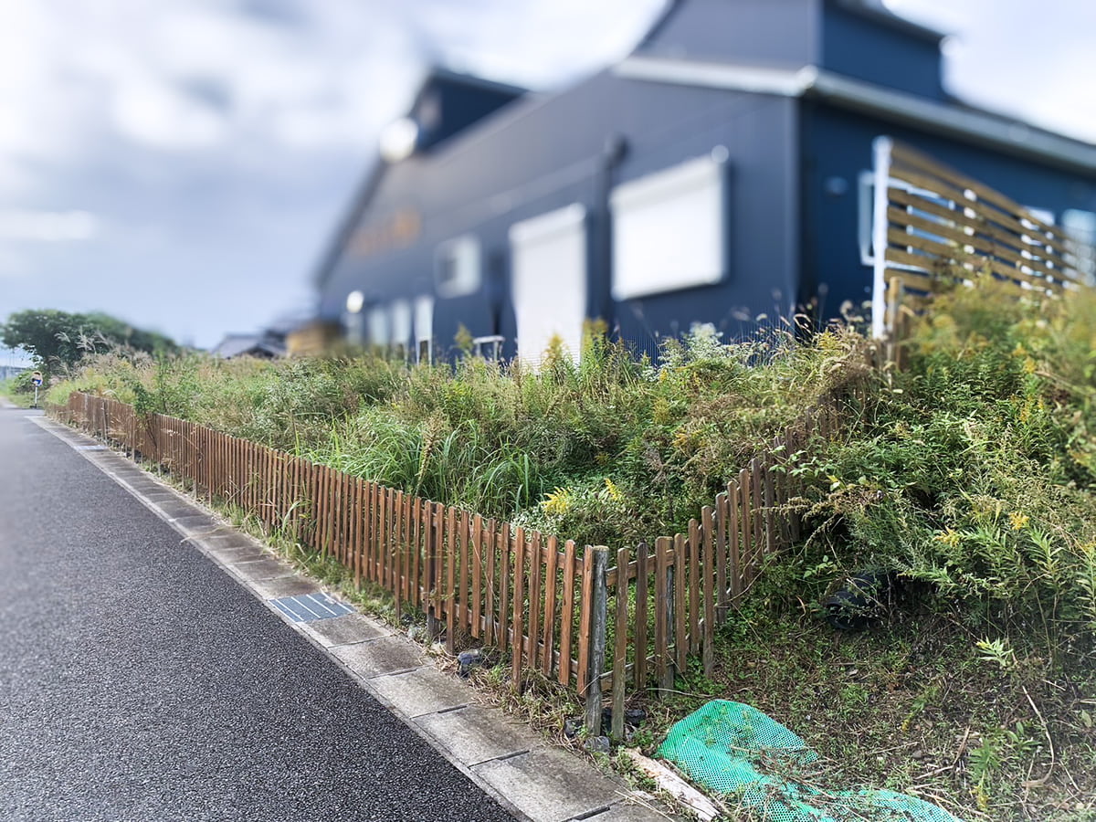 施工前・敷地全体に繁茂した雑草