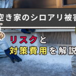空き家のシロアリ被害｜放置するとどうなる？リスクと対策費用を解説