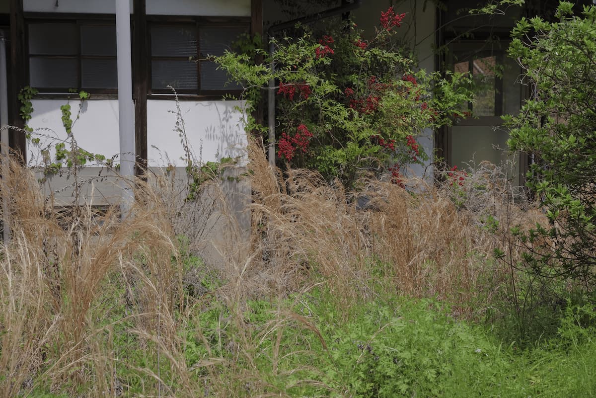 中古住宅購入直後の手つかずの外構。荒れた庭と古い駐車場が残る東濃エリアの中古住宅イメージ