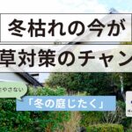 保護中: 冬枯れの今が雑草対策のチャンス｜春に草を生やさない「冬の庭じたく」【土岐市・東濃】